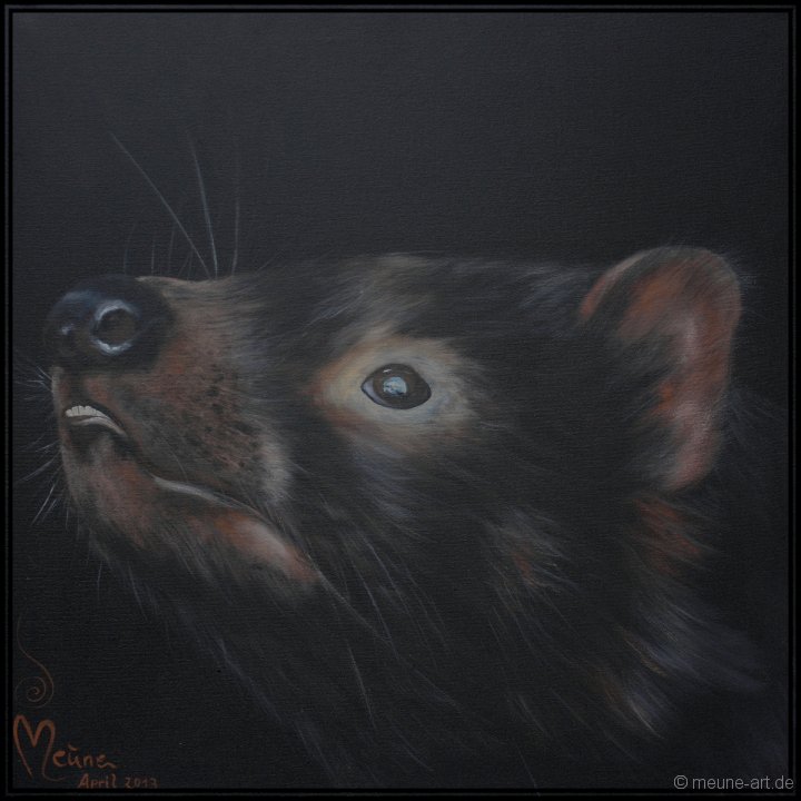 Tasmanischer Teufel Acryl auf Leinwand;
77 x 77 cm